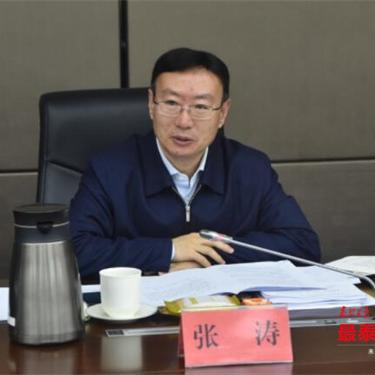 2025年天天免费资料及2025全年资料大全正版，预案解答、解释与落实，短期释义、解释与落实​